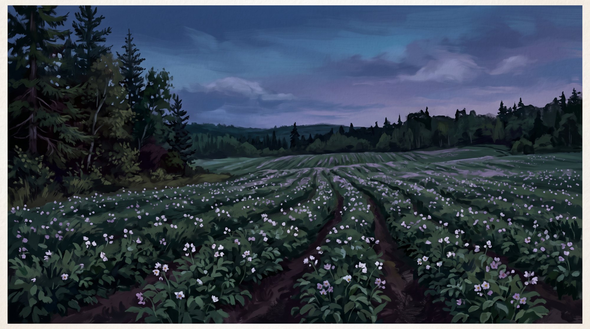 Illustration of a wide field of blooming potato plants stretching to a distant treeline in summer